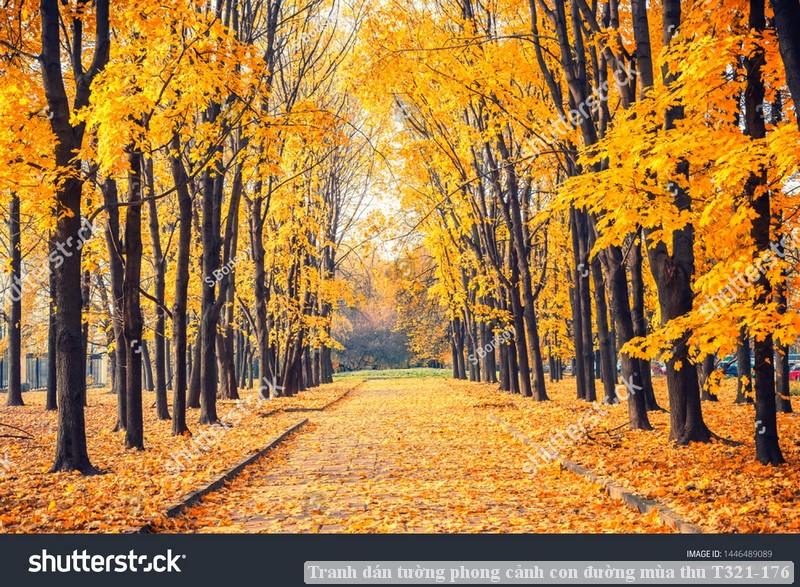 Tranh dán tường phong cảnh con đường mùa thu T321-176